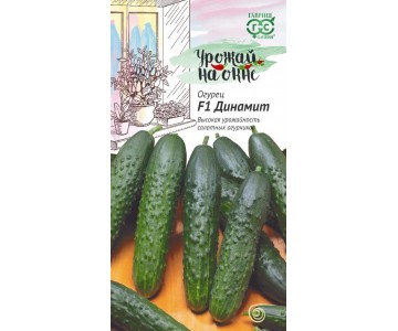 Огурец Динамит F1 10 шт. серия Урожай на окне
